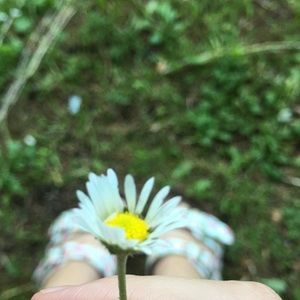 Meet your Posher, Aeva